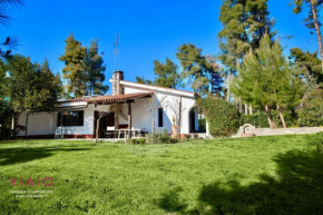 #Villa Calysto by halu! Sani Villas